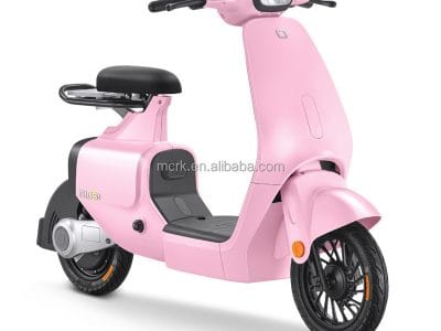 Customized Powerful Battery Life Electric Mountain Bike 48V 60V Off-Road Scooter Electric Motorcycle