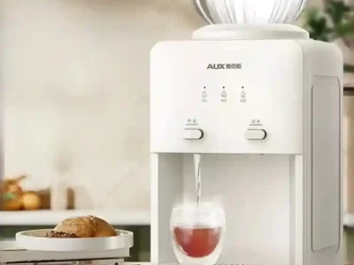 Water Dispenser for Office and Dormitory Mini Hot Cold Ice Warm 220V Desktop Small Household