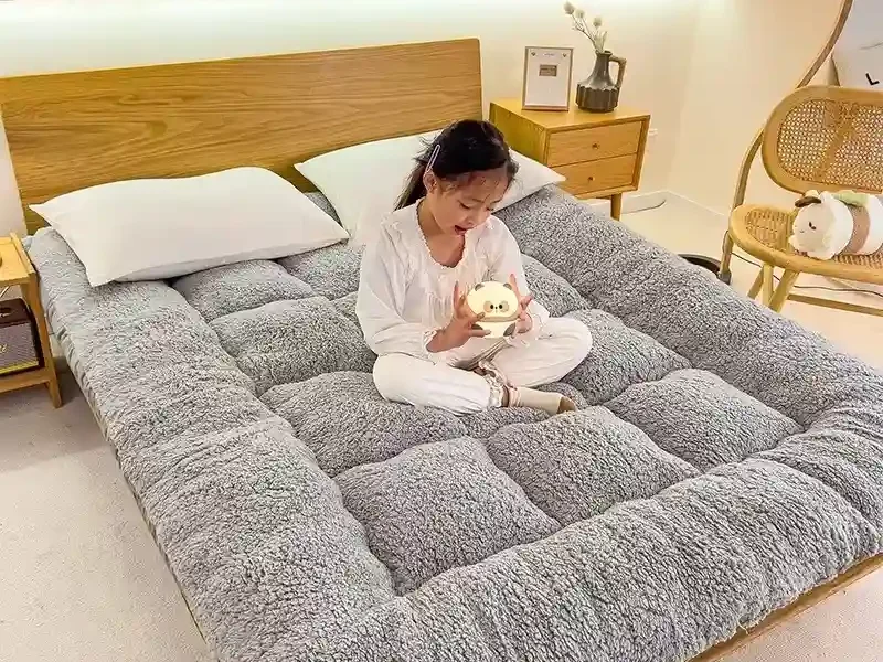 Winter padded lambswool mattress plus velvet dormitory home soft pad single and double warm pad quilt.