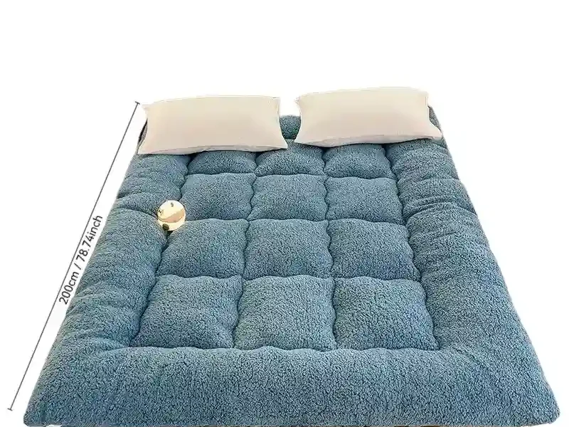 Winter padded lambswool mattress plus velvet dormitory home soft pad single and double warm pad quilt.