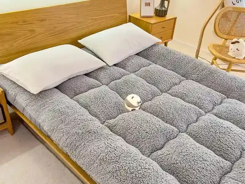 Winter padded lambswool mattress plus velvet dormitory home soft pad single and double warm pad quilt.